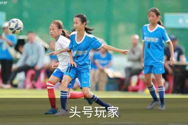 头号玩家公司介绍图