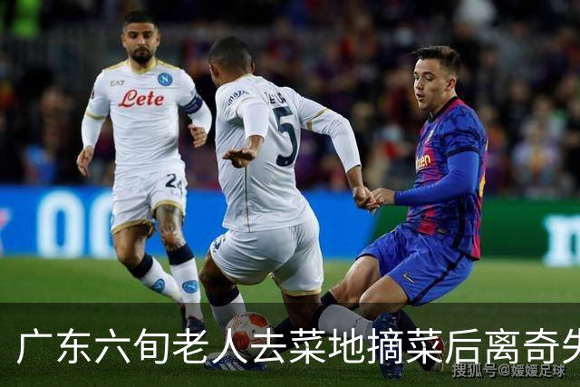 广东六旬老人去菜地摘菜后离奇失踪！结果竟在地下7米处被拉出……